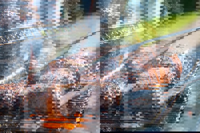 Pexels Skitterphoto 1105325