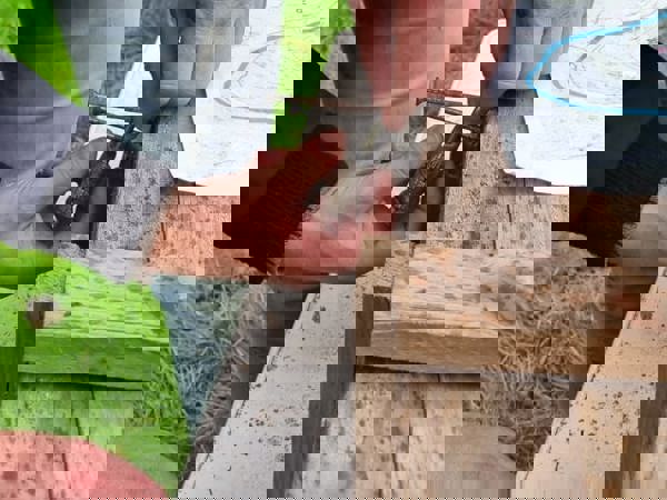 IMG 20241011 WA0013